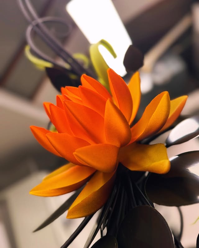 Instagram Bellouet Paris